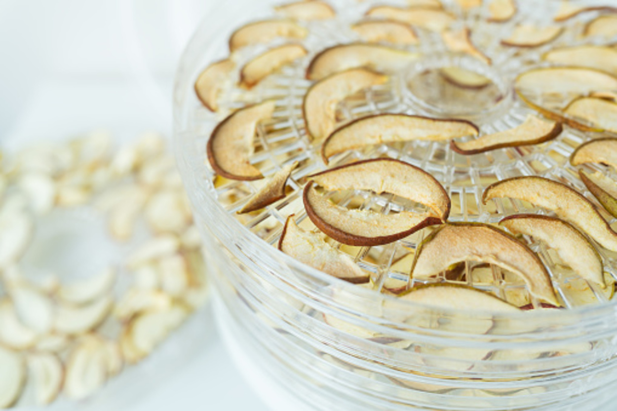 Apple slices dehydrated using an air dehydrator