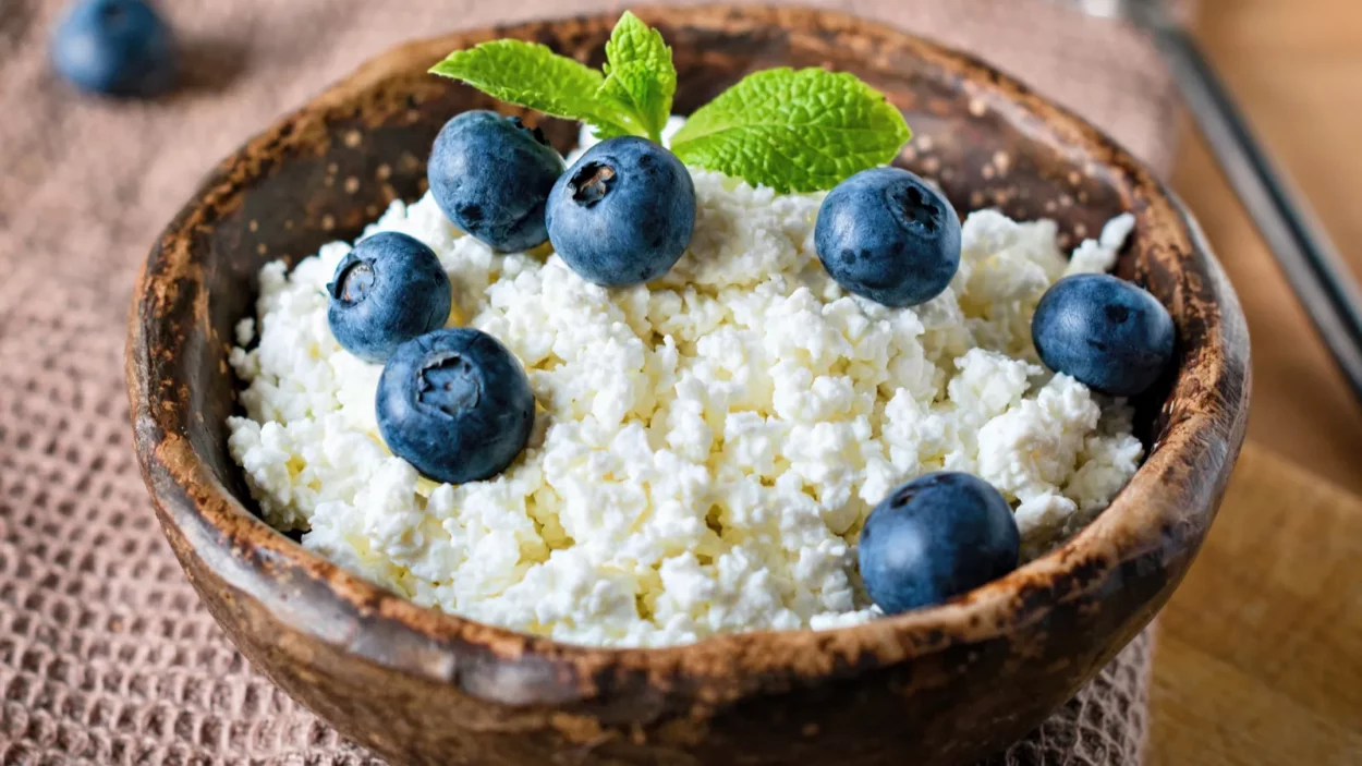 cottage cheese with fresh blueberry in bowl