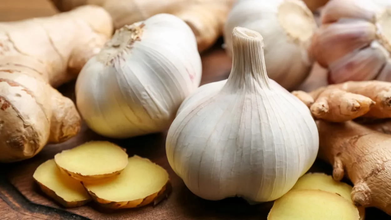Ginger and fresh garlic on wooden board.