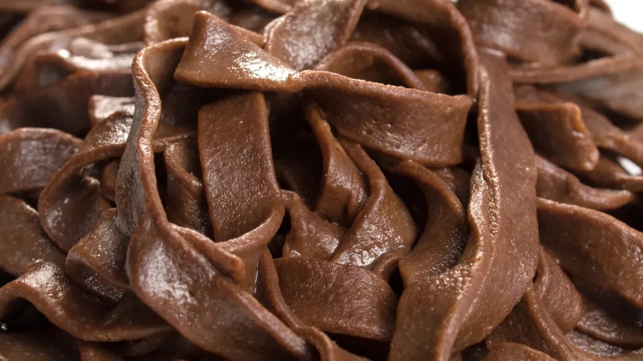Chocolate tagliatelle close-up.