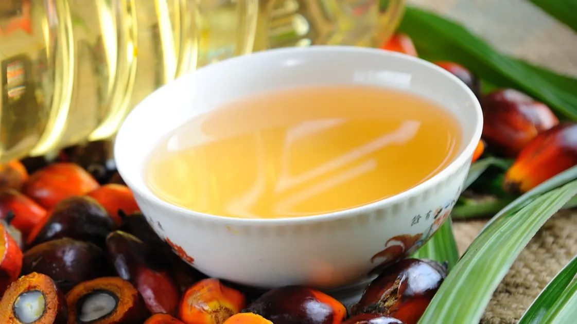 Close up of Palm Oil fruits, cooking oil and leaf.